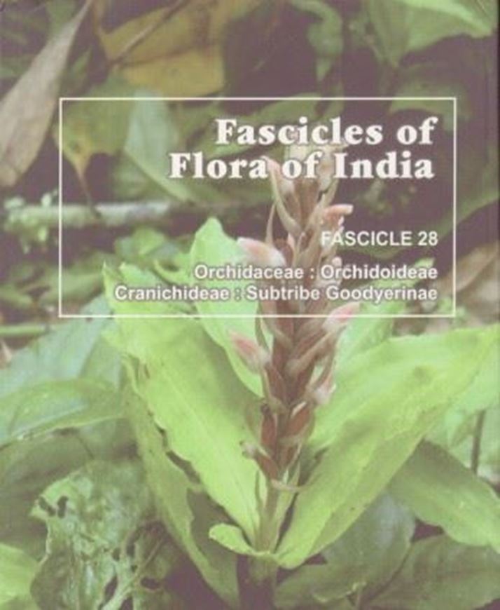 Fascicles. Fasc. 028: Bhattacharjee, Avishek and H. J. Chowdhery: Orchidaceae: Orchidoideae, Cranichideae: Subtribe Goodyerinae. 2018. 46 col. pls. 28 figs. 285 p. gr8vo. Paper bd.