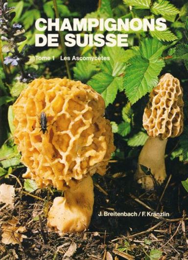 Champignons de Suisse. Tome 1: Ascomycetes. 1981. 390 especes photographiees en couleur. Beaucoup de dessins d'observations microscopiques. 313 p. 4to. Relie. En Francais.