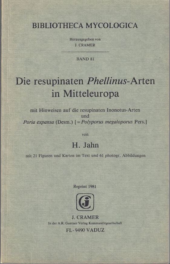 Die resupinaten Phellinus-Arten in Mitteleuropa, mit Hinweisen auf die resupinaten Inonotus-Arten und Poria expansa (Desm.) (= Polyporus megaloporus Pers.). 1966-1967. (Westfälische Pilzbriefe, VI). Reprint 1981. (Bibliotheca Mycologica, 81). 21 Fig. 61 Photogr. IV,116 S. gr8vo. Brosch. (ISBN 3-7682-1307-2)