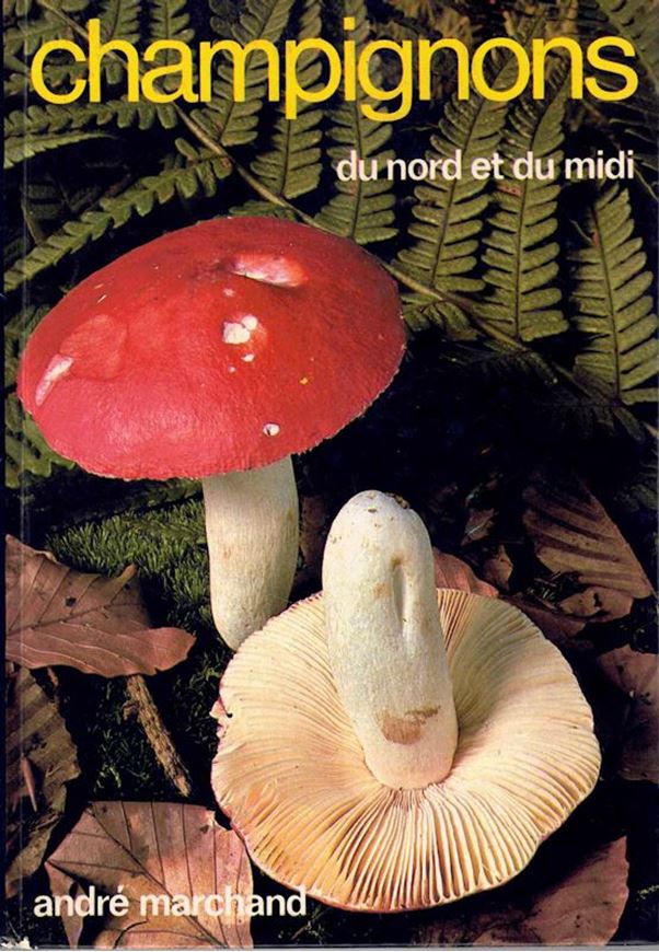 Champignons du nord et du midi.Tome 05: Les Russules. 272 especes, formes et varietes decrites ou citees. 1977. 100 col. planches photogaphiques.100 figs. 303 p.8vo. Hardcover.