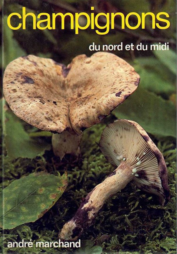 Champignons du nord et du midi.Tome 06: Lactaires et Pholiotes.160 especes,formes et varietes decrites ou citees. 1980. 100 col.pls. 100 figs. 291 p. 8vo. Bound.