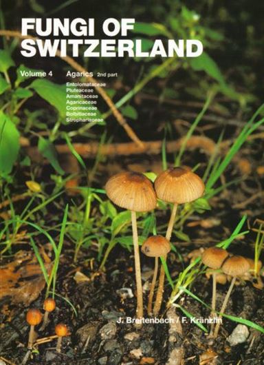 Fungi of Switzerland. Volume 4: Agarics, part 2: Entolomataceae, Pluteaceae, Amanitaceae, Agaricaceae, Coprinaceae, Bolbitiaceae, Strophariaceae. 1995. illus. 370 p. 4to. Hardcover.