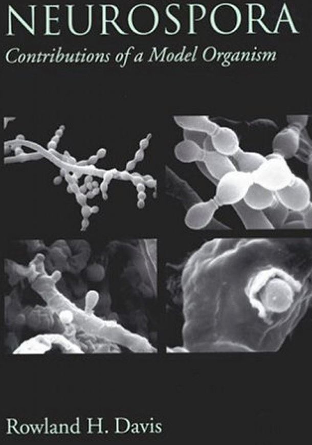  Neurospora: Contributions of a model organism. 2000. illus. XII, 333 p. Hardcover.