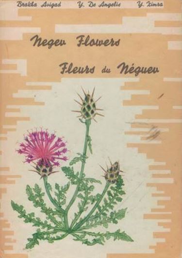 Negev Flowers / Fleurs du Néguev. 1968. 24 col. pls. with bilingual explanations (French / English). gr8vo. Hardcover.