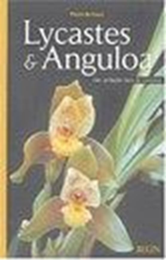 Lycaste & Anguloa. Des orchidées hors du commun. 2004. illus. 191 p. 4to. Softcover.- In French.