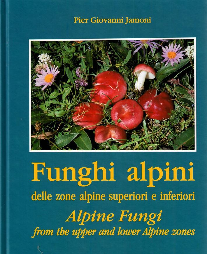 Funghi alpini delle zone alpine superiori e inferiori. 2008. illus. 544 p. gr8vo. Hardcover. - Bilingual (Italian / English).