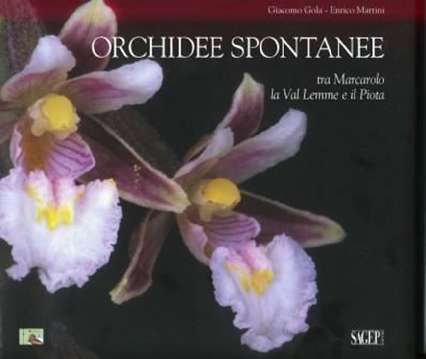  Orchidee Spontanee tra Marcarolo, la Val Lemme e il Piota. 2010. Many col. photogr. 141 p. gr8vo. Hardcover. - In Italian with Latin nomenclature and Latin species index. 