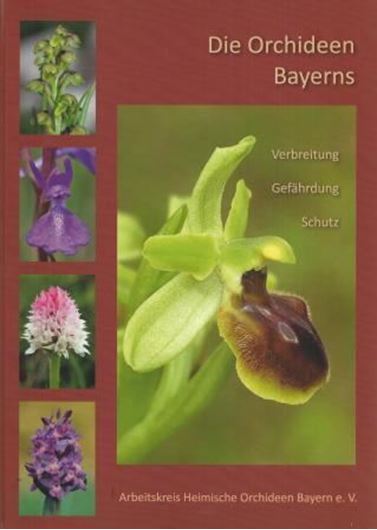 Verbreitung - Gefährdung - Schutz. Herausgeg. v. Arbeitskreis Heimische Orchideen Bayerns. 2014. ca 1000 farbige Abbildungen (Photographien & Verbreitungskarten). 382 S. 4to. Hardcover.