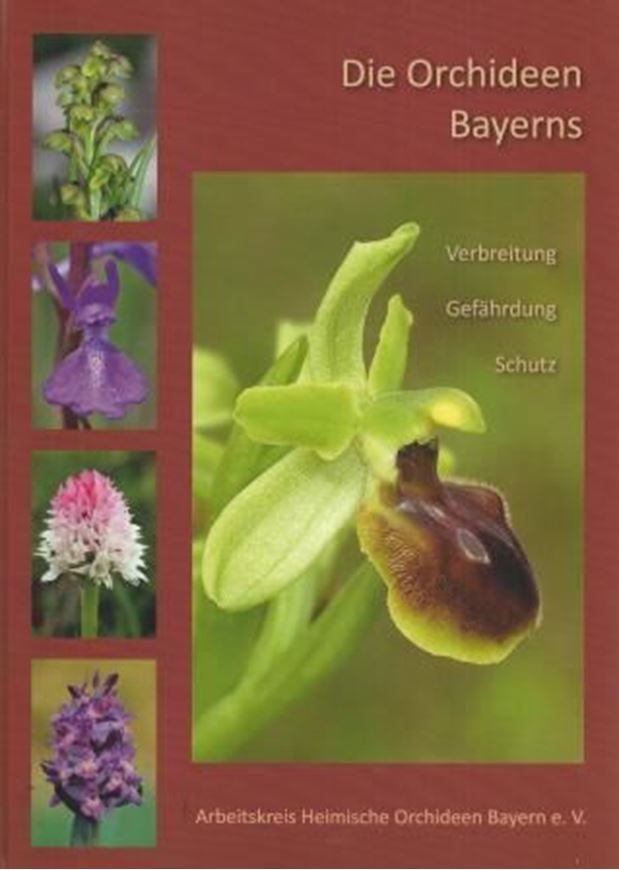 Verbreitung - Gefährdung - Schutz. Herausgeg. v. Arbeitskreis Heimische Orchideen Bayerns. 2014. ca 1000 farbige Abbildungen (Photographien & Verbreitungskarten). 382 S. 4to. Hardcover.