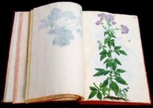 Fiori di Sicilia. Acis hortus regius: l'erbario di Giuseppe Riggio, illus- tado da Emanuale Grasso. 1811.(Reprint 2007). 750 col. pls. 400 p. Hardcover.- 22 x 34 cm.