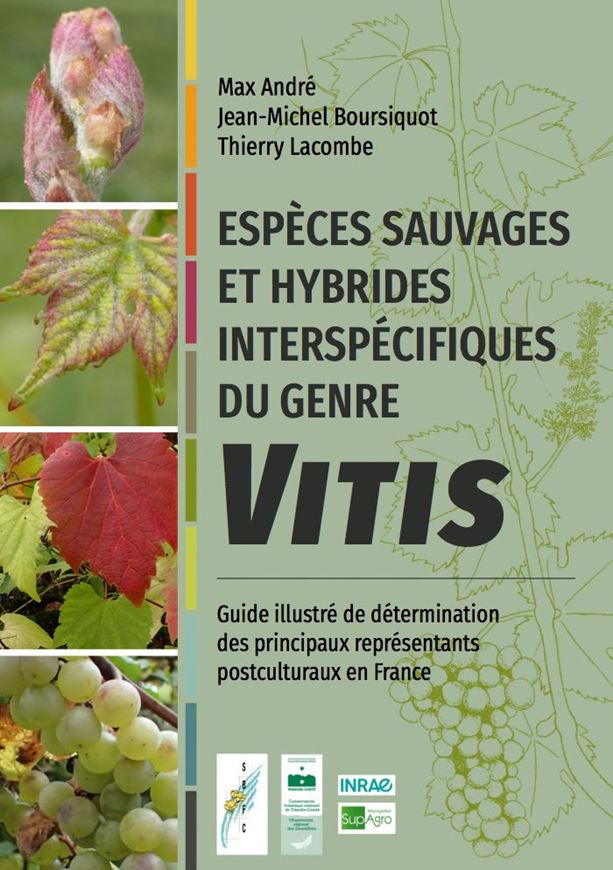 Espèces sauvages et hybrides interspécifiques du genre Vitis. Guide illustré de détermination des principaux représentants postculturaux en France. 2020. ca. 400 figs. 154 p. 4to. Ringbinder.