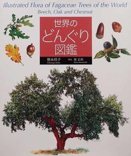 Illustrated Flora of Fagaceae Trees of the World. Beach, Oak, and Chestnut. 2020. many col. iillus. (drawings, photographs). 191 p. gr8vo. Hardcover.- In Japanese, with Latin nomenclature and English index.