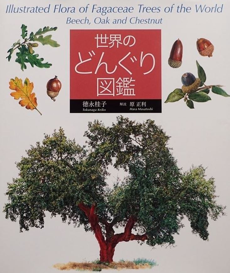 Illustrated Flora of Fagaceae Trees of the World. Beach, Oak, and Chestnut. 2020. many col. iillus. (drawings, photographs). 191 p. gr8vo. Hardcover.- In Japanese, with Latin nomenclature and English index.