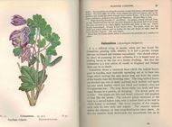 Wayside & Woodland Blossoms. A Pocket Guide to British Wildflowers for the Conutry Rambler. Series 1 - 3. 1933 - 1935 (=Reprinted edition).  497 mostly col. pls. 523 p. 8vo. Cloth.