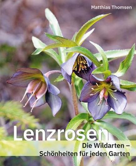 Lenzrosen. Die Wildarten - Schönheiten für jeden Garten. 2022.  355 Fotos, 25 Karten, 20 Illustrationen, 5 Tabellen. 216 S. Hardcover.