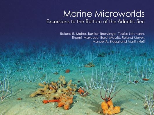 Marine Microworlds. Excursions to the Bottom of the Adraitic Sea. 2022.  405 (399 col.) figs. 320 p. Hardcover.