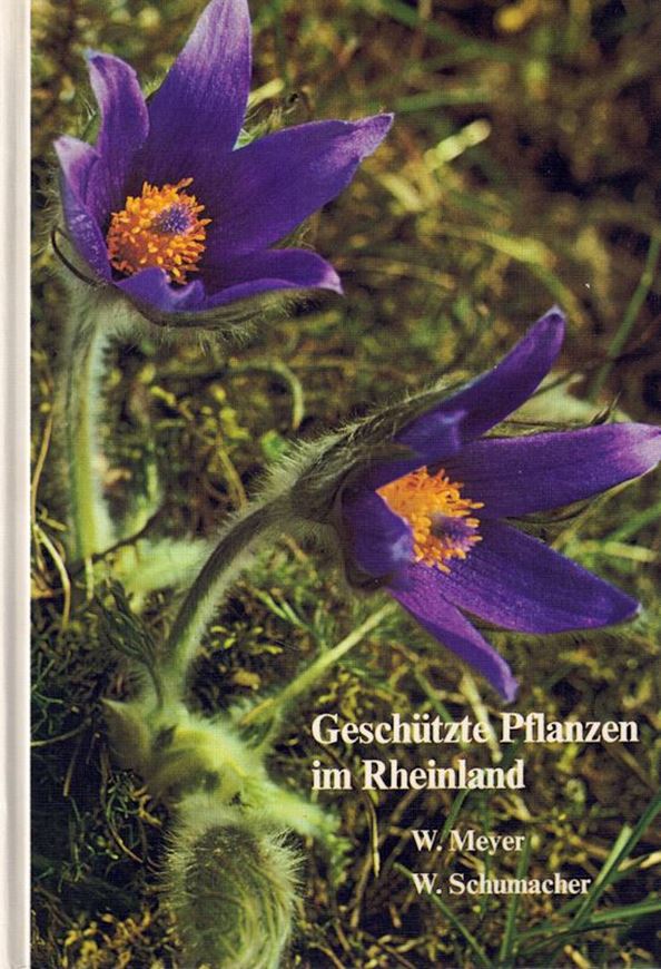 Geschützte Pflanzen im Rheinland. Geschützte und gefährdete Kostbarkeiten unserer heimischen Pflanzenwelt. 1978. 137 Farbphotogr.198 p. 8vo. Hardcover.