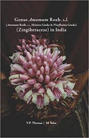 Genus Amomum Roxb. s. l. (Amomum Roxb. s.s., Meistera Giseke and Wurfbainia Giseke) (Zingiberaceae). 2023. illus. (col.). XI, 259 p. gr8vo. Hardcover.