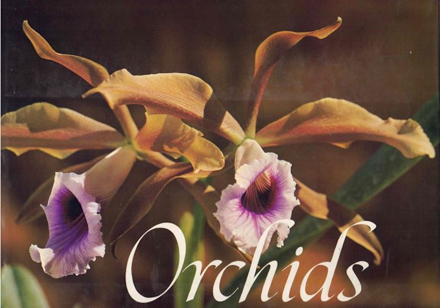 Orchids. Flowers of Romance and Mystery. 1975.illus. (partly col.). 309 p.Hardcover. 29 x 27 cm.