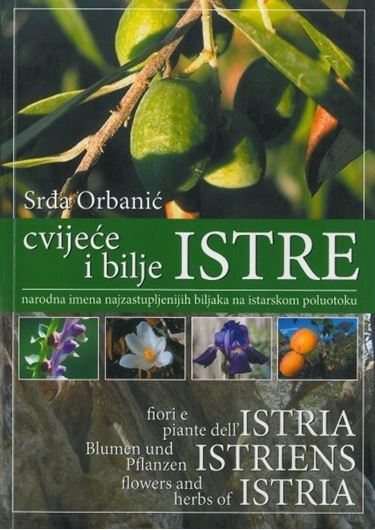 Cvijece i bilje Istre: Narodna imena najzastupljeniji biljaka sjevernog Jadrana /Fiori e piante dell'Istria: nomi dilettali delle piante piu rappresentativa dell'Alto Adriatico/... 2008. illus. (col.). 199 p. gr8vo. - In Croatian, English, German and Italian.