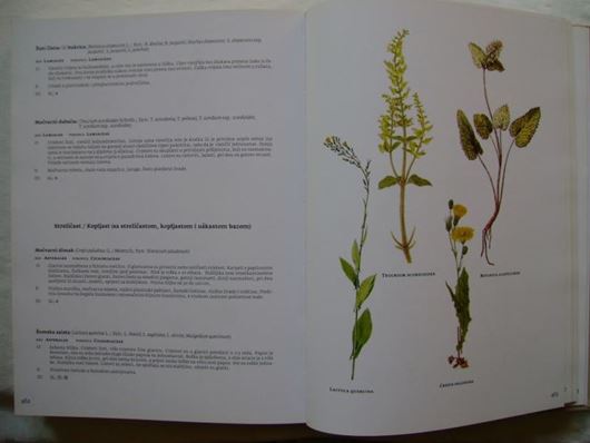 Bilinar cvjetnjaca hvratske flore s kljucem (Bilinar flower garden of the Croation flota: with an identification key). 2 volumes 2011. approx. 3000 col. figs.  1106 p. gr8vo. Hardcover. - In Croatian, with Latin nomenclature.