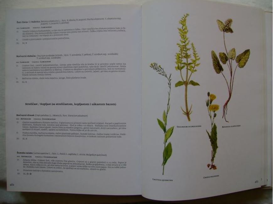 Bilinar cvjetnjaca hvratske flore s kljucem (Bilinar flower garden of the Croation flota: with an identification key). 2 volumes 2011. approx. 3000 col. figs.  1106 p. gr8vo. Hardcover. - In Croatian, with Latin nomenclature.