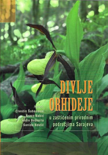 Wild orchids in the protected natural area of Sarajevo (Divlje orhideje u zasticenim prirodnim podrucjima Sarajevo). 2023. many col. photogr. and line-drawings. 152 p. gr8vo. Paper bd.- In Serbian, with Latin nomenclature and Latin species index.