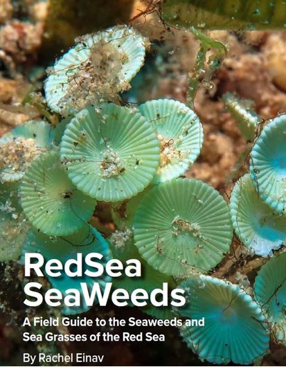 Red Sea Sea Weeds. A Field Guide to the Seaweeds and Sea Grasses of the Red Sea. 2025. Man col. figs. 234 p. Paper bd.(ISBN 978-3-946583-51-6)