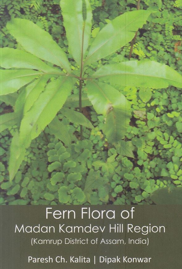 Fern Flora of Madan Kamdev Hill Region: Kamrup District of Assam, India. 2020. 1 b/w map. illus.(partly col.). XII, 144 p. Paper bd.