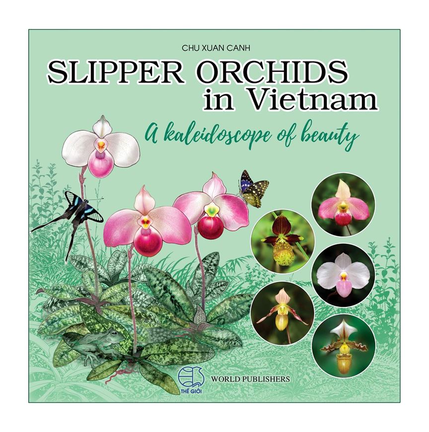 Slipper Orchids in Viet Nam. A kaleidoscope of beauty. 2024. approx. 1100 col. illus. 492 p. Hardcover.- In English and Vietnames.