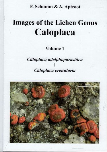 Images of the Lichen Genus Caloplaca. Volume 1: Caloplaca adelphoparasitica to Caloplaca crenularia. 2019. approx. 660 col. figs. 683 p. gr8vo. Hardcover.