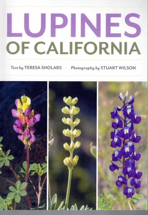 Lupines of California. 2024. illus.(col.). 126 p. gr8vo. Paper bd.