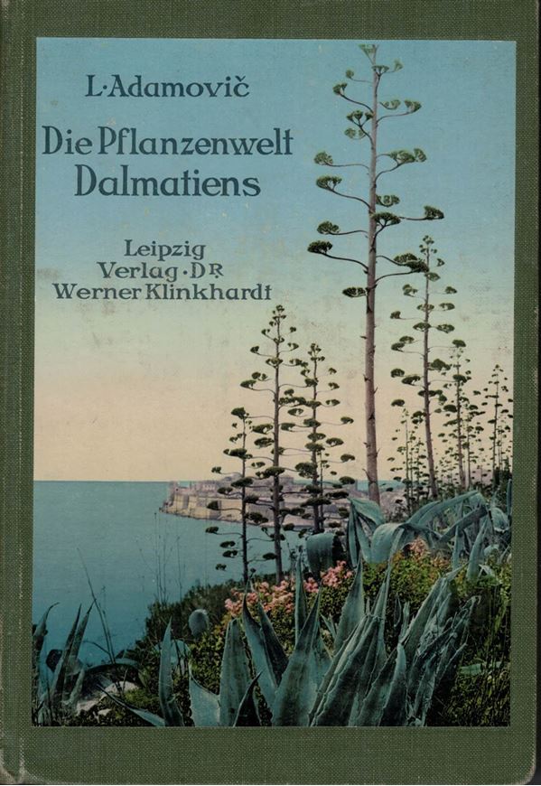 Die Pflanzenwelt Dalmatiens. 1911. 72 s/w Taf. 137 S.  - Leinen.