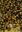 Oil Palms and other Oilseeds of the Amazon. 1941. Translated and edited by Dennis V.Johnson. 1985. (Studies in Economic Botany, no. 2). illustr. 96 tabs. 199 p. gr8vo. Hardcover.