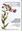 Ed. by Henry Yesid Bernal and Jaime Enrique Correa Q. Volume 6 (C - D). 1991. VII, 507 p. gr8vo. Paper bd.- In Spanish.