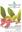  Ed.by Correa, Enrique Jaime and Henry Yesid Bernal. Volume 7.1992. 684 p.gr8vo.Paper bd.