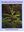 The Palms and Cycads of Thailand. 1998. Approx. 400 col. photographs on 90 col. plates. 190 p. 4to. Hardcover.
