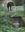  An Earthly Paradise. The Hanbury Gardens at La Mortola. 1997. many col. figs. 143 p. 4to. Cloth.