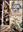 Flora of Egypt. Volume 01: Azollaceae - Oxalidaceae. 1999. 24 coloured photographic plates. 67 plates of line - drawings. XV, 419 p. gr8vo. Hardcover.