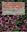 Atlas Clasificatorio de la flora de Espana Peninsular y Balear. 2 vols. 2005 - 2009. Many col. figs.  1566 p. gr8vo. Hardcover.