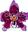  Orchids from the Archives of the Royal Horticultural Society. 2002. approx. 55 col. pls. 335 p. Hardcover.