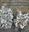 Lichen Flora of the Greater Sonoran Desert Region. Vol. 2. 2004. (Reprint 2020). 96 col. photographs. 742 p. gr8vo. Hardcover.