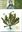 Volume 145: Noltie, Henry J.: The Botany of Robert Wight. 2005. VIII, 579 p. gr8vo. Hardcover. (ISBN 978-3-906166-40-7/ ISSN 0080-0694)