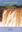 Floristic Diversity of Chattisgarh (Angiosperms). 2005. 8 col. pls. 62 line - figs. 660 p. gr8vo. Hardcover.