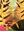  Common Seaweeds of the Gulf of California / Algas Communes del Golfo de California. 2006. illustr. 104 p. gr8vo. Paper bd. - Bilingual (English /Spanish).