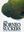  Oilseed Crops. Volume 3. Edited by Ram J. Singh. 2006. 552 p. gr8vo. 