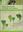 The Green Seaweeds of Britain and Ireland. 2007. illus. XII, 242 p. gr8vo. Paper bd.