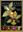  Huntleyas and Related Orchids. 2008. 150 col. photographs. Some line - figures. 260 p. gr8vo. Hardcover. 