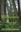 British Columbia's Inland Rainforest. Ecology, Conservation and Management. 2011. col. photogr. illus. XXI, 432 p. gr8vo. Hardcover.