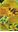 List of Names of Perennials /Naamlijst van vaste Planten/ Namenliste Stauden/ Liste des Noms des Plantes Vivaces: International Standard ISU 2016 - 2020. 7th augmented ed. 2017. 632 p. Paper bd.